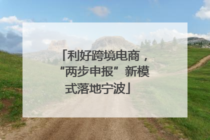 利好跨境电商，“两步申报”新模式落地宁波