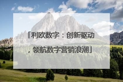 利欧数字：创新驱动，领航数字营销浪潮