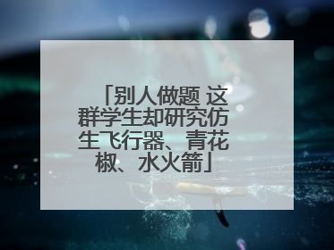 别人做题 这群学生却研究仿生飞行器、青花椒、水火箭