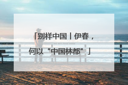 别样中国丨伊春，何以“中国林都”