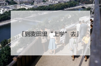 到麦田里“上学”去