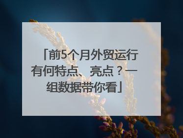 前5个月外贸运行有何特点、亮点？一组数据带你看