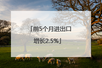 前5个月进出口增长2.5%
