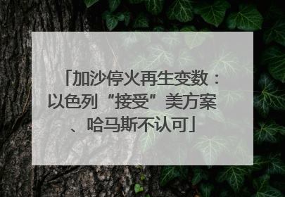 加沙停火再生变数：以色列“接受”美方案、哈马斯不认可