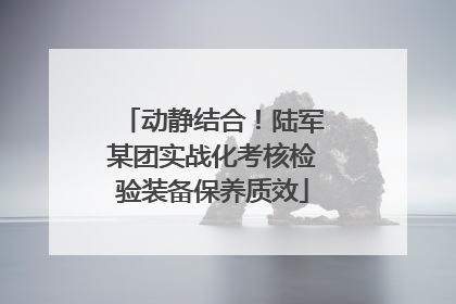 动静结合！陆军某团实战化考核检验装备保养质效