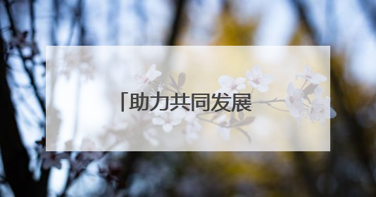 助力共同发展 第八届进博会座谈会在土耳其举办