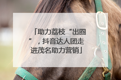 助力荔枝“出圈”，抖音达人团走进茂名助力营销
