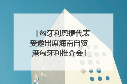 匈牙利恩捷代表受邀出席海南自贸港匈牙利推介会