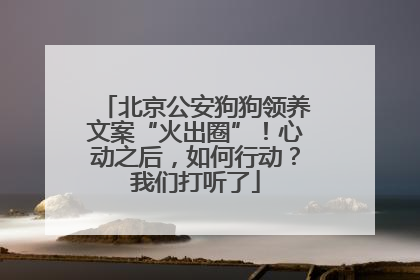 北京公安狗狗领养文案“火出圈”！心动之后，如何行动？我们打听了