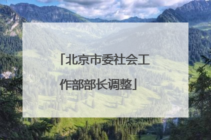 北京市委社会工作部部长调整