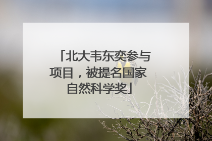 北大韦东奕参与项目，被提名国家自然科学奖