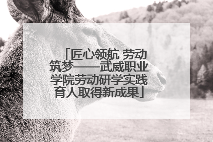 匠心领航 劳动筑梦——武威职业学院劳动研学实践育人取得新成果