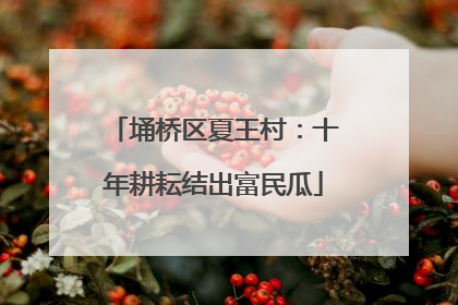 埇桥区夏王村：十年耕耘结出富民瓜