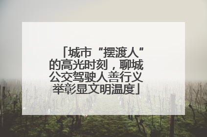 城市“摆渡人”的高光时刻，聊城公交驾驶人善行义举彰显文明温度