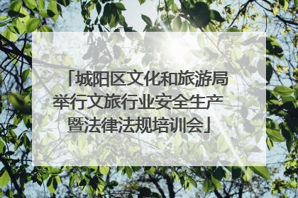 城阳区文化和旅游局举行文旅行业安全生产暨法律法规培训会