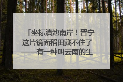 坐标滇池南岸！晋宁这片镜面稻田藏不住了——有一种叫云南的生活之365天