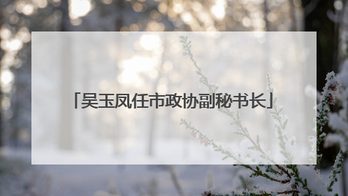 吴玉凤任市政协副秘书长