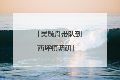 吴毓舟带队到西坪镇调研