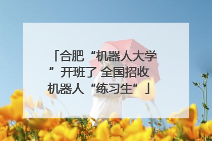 合肥“机器人大学”开班了 全国招收机器人“练习生”