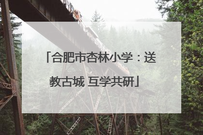 合肥市杏林小学：送教古城 互学共研