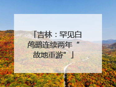 吉林：罕见白鸬鹚连续两年“故地重游”
