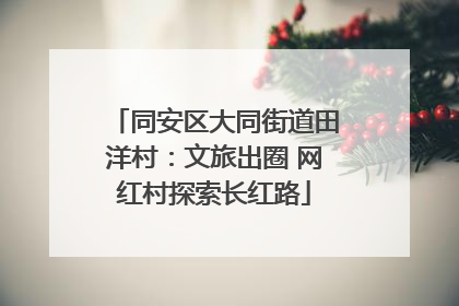 同安区大同街道田洋村：文旅出圈 网红村探索长红路