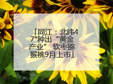同江：北纬47°种出“黄金产业” 软枣猕猴桃9月上市