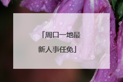 周口一地最新人事任免