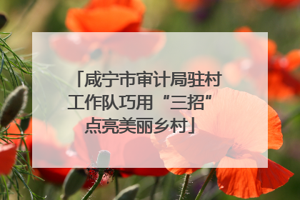 咸宁市审计局驻村工作队巧用“三招”点亮美丽乡村