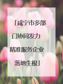 咸宁市多部门协同发力 精准服务企业落地生根