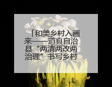 和美乡村入画来——道真自治县“两清两改两治理”书写乡村振兴新答卷