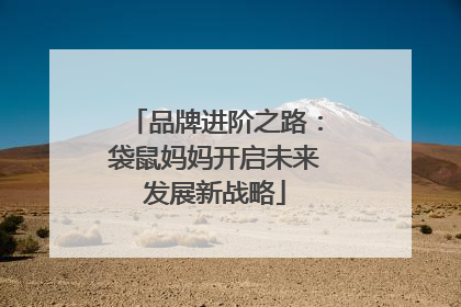 品牌进阶之路：袋鼠妈妈开启未来发展新战略