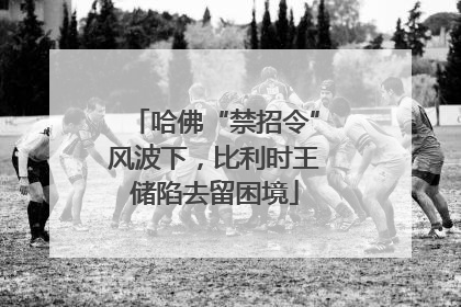 哈佛“禁招令”风波下，比利时王储陷去留困境