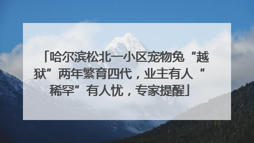 哈尔滨松北一小区宠物兔“越狱”两年繁育四代，业主有人“稀罕”有人忧，专家提醒