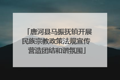 唐河县马振抚镇开展民族宗教政策法规宣传 营造团结和谐氛围