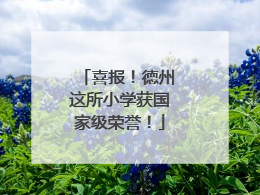 喜报！德州这所小学获国家级荣誉！