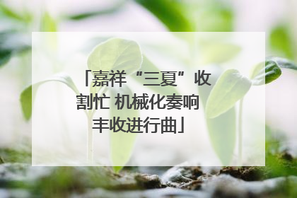 嘉祥“三夏”收割忙 机械化奏响丰收进行曲