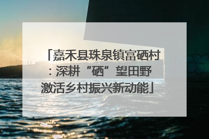 嘉禾县珠泉镇富硒村：深耕“硒”望田野 激活乡村振兴新动能