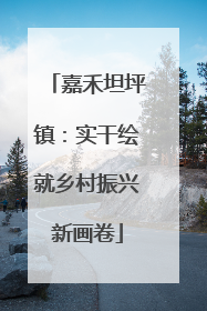 嘉禾坦坪镇：实干绘就乡村振兴新画卷