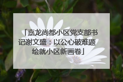 嘉龙尚都小区党支部书记谢文盛：以公心破难题 绘就小区新画卷