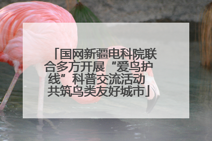 国网新疆电科院联合多方开展“爱鸟护线”科普交流活动 共筑鸟类友好城市