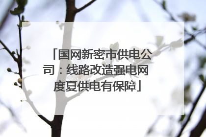 国网新密市供电公司：线路改造强电网 度夏供电有保障