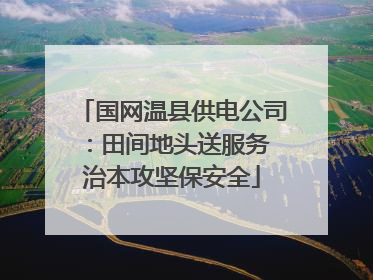 国网温县供电公司：田间地头送服务 治本攻坚保安全