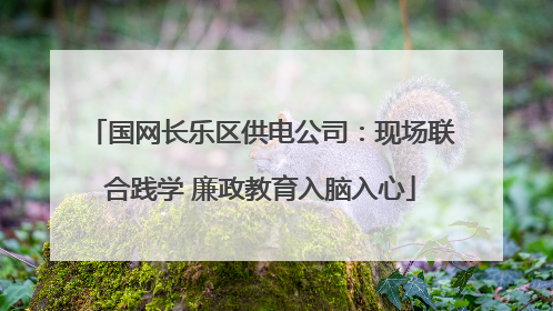 国网长乐区供电公司：现场联合践学 廉政教育入脑入心