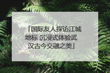 国际友人探访江城地标 沉浸式体验武汉古今交融之美