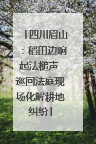 四川眉山：稻田边响起法槌声 巡回法庭现场化解耕地纠纷
