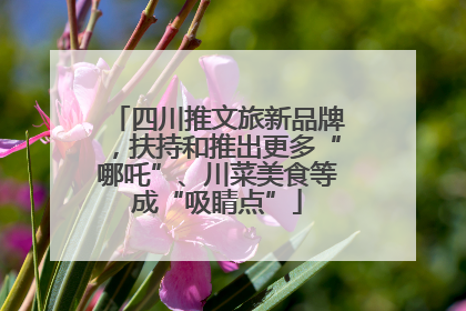 四川推文旅新品牌，扶持和推出更多“哪吒”、川菜美食等成“吸睛点”