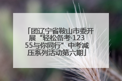 团辽宁省鞍山市委开展“轻松备考·12355与你同行”中考减压系列活动第六期