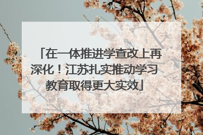 在一体推进学查改上再深化！江苏扎实推动学习教育取得更大实效