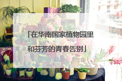 在华南国家植物园里和芬芳的青春告别